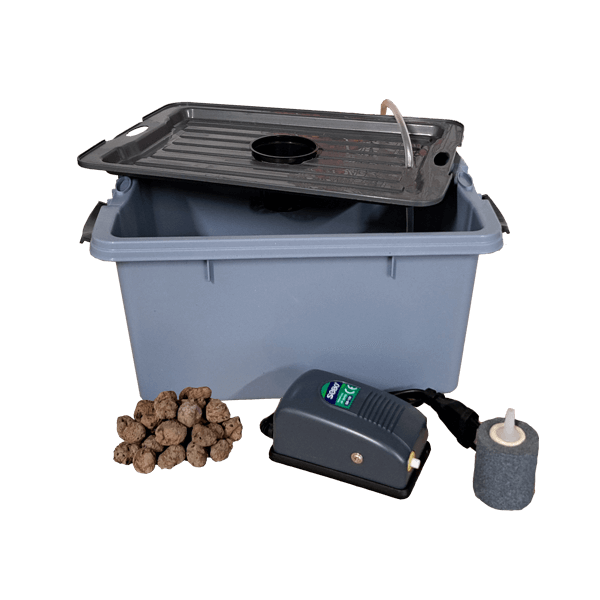 Hidroponikos sistema Augink Start Hidroponikos sistema Augink Start